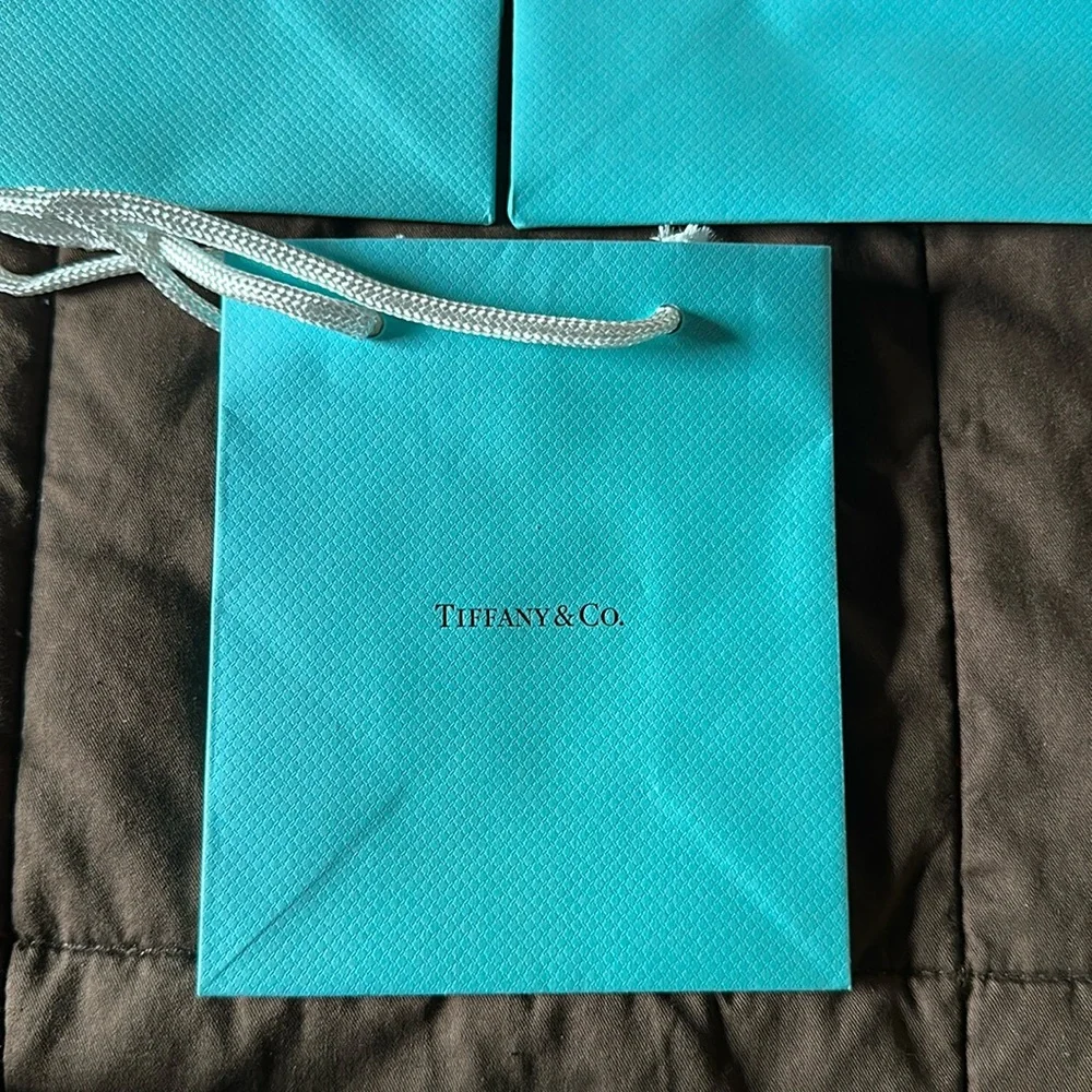 Assorted Tiffany & Co. Gift Bags